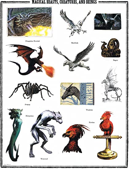 harry potter magical creatures turn ivisible