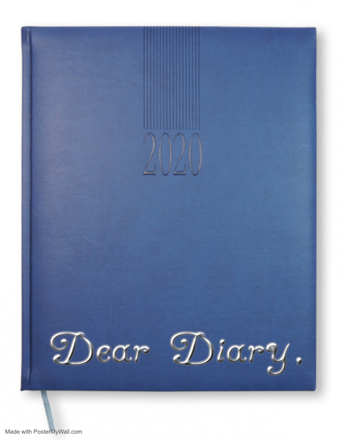 dear diary book cover vice
