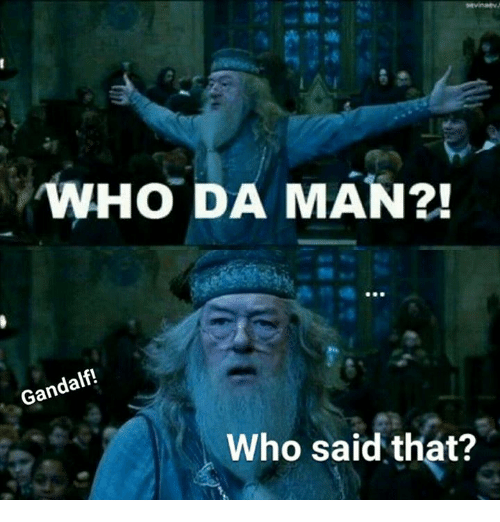 Clean And Funny Harry Potter Memes 