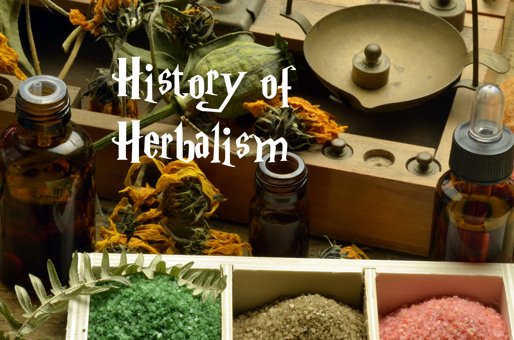 'History of Herbalism' Hogwarts Library Hogwarts is Here
