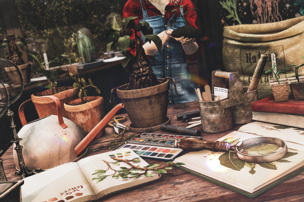 Back to Hogwarts: A Magical Cookery Class in Herbs and Spices — The Food  Co-op