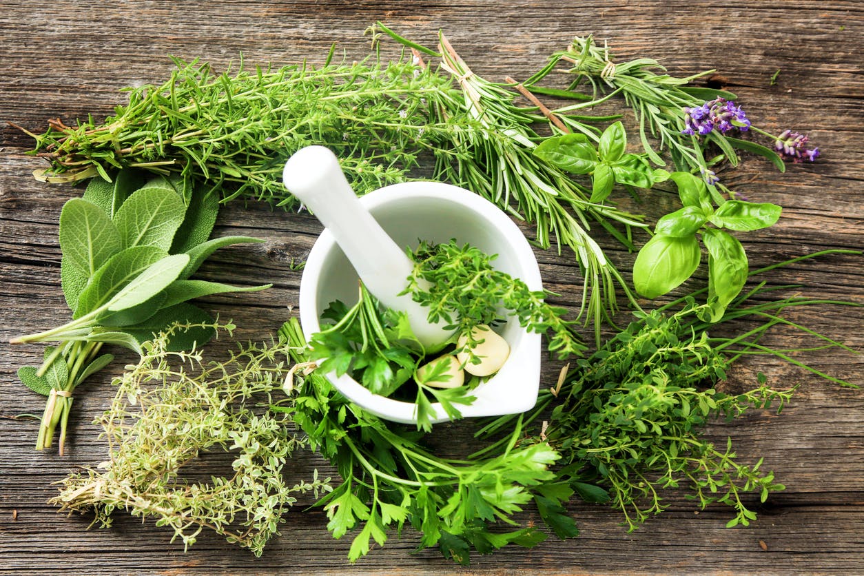 Herbology (HERB401) Hogwarts is Here