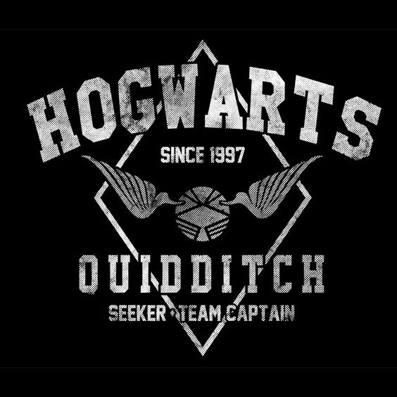 Official Hogwarts Quidditch Team Hih