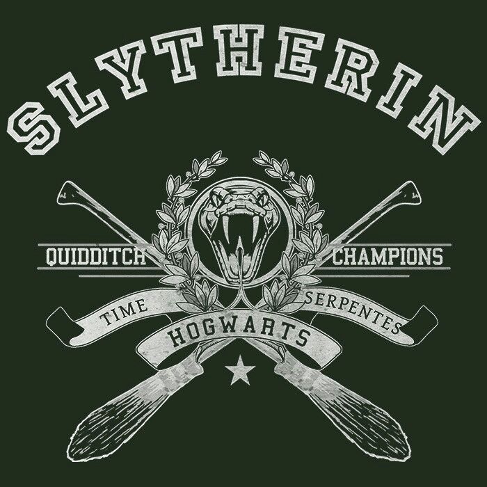 Slytherin Quidditch Team (official) | HiH