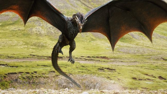 norwegian ridgeback dragon