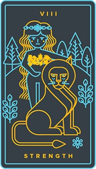 VIII. Strength