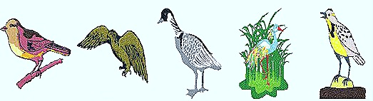 Image depicting five different types of birds.