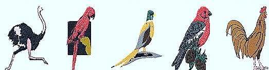 Image depicting five different types of birds.