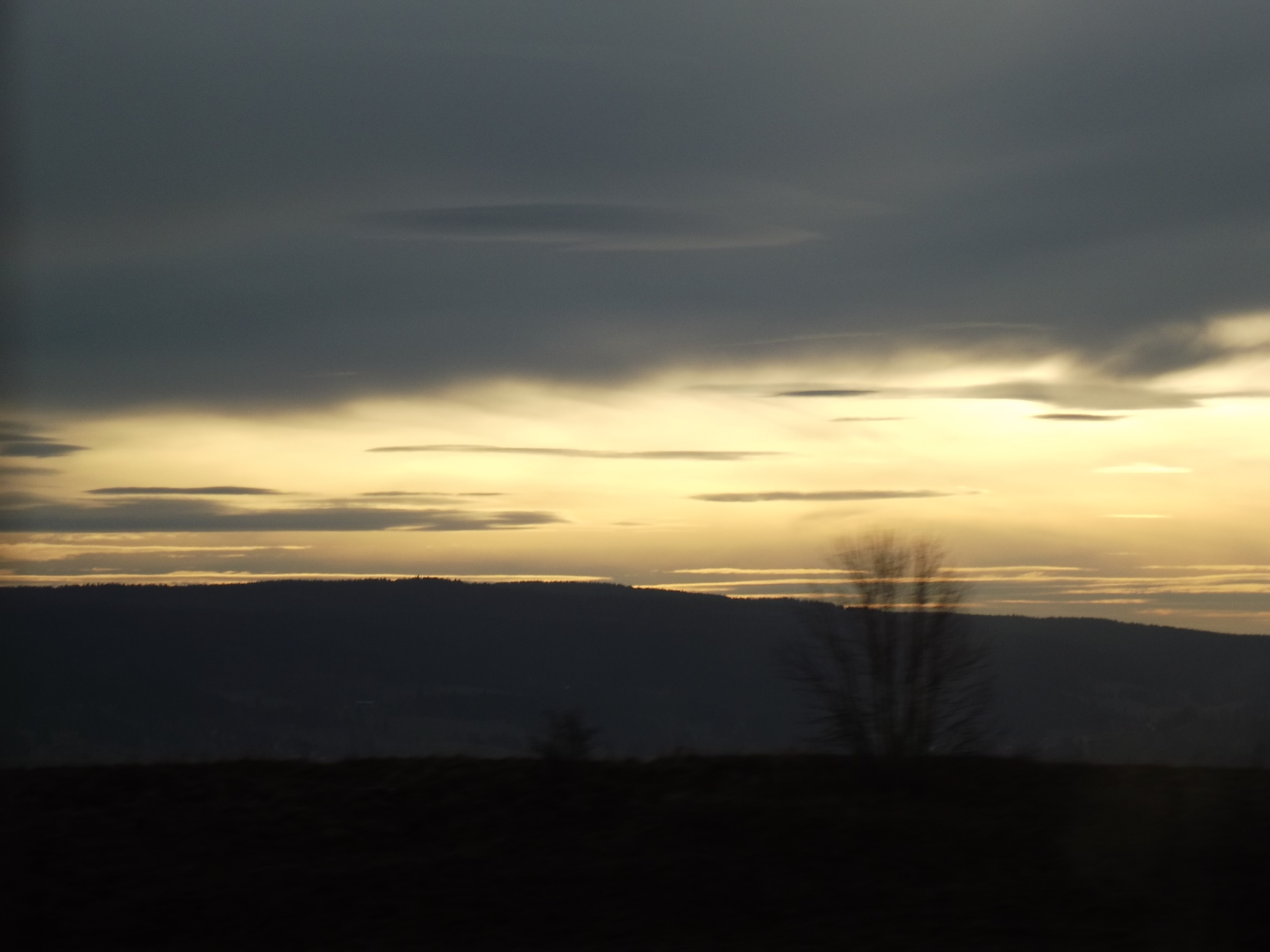 DraconisRose (Ravenclaw) | Hogwarts is Here