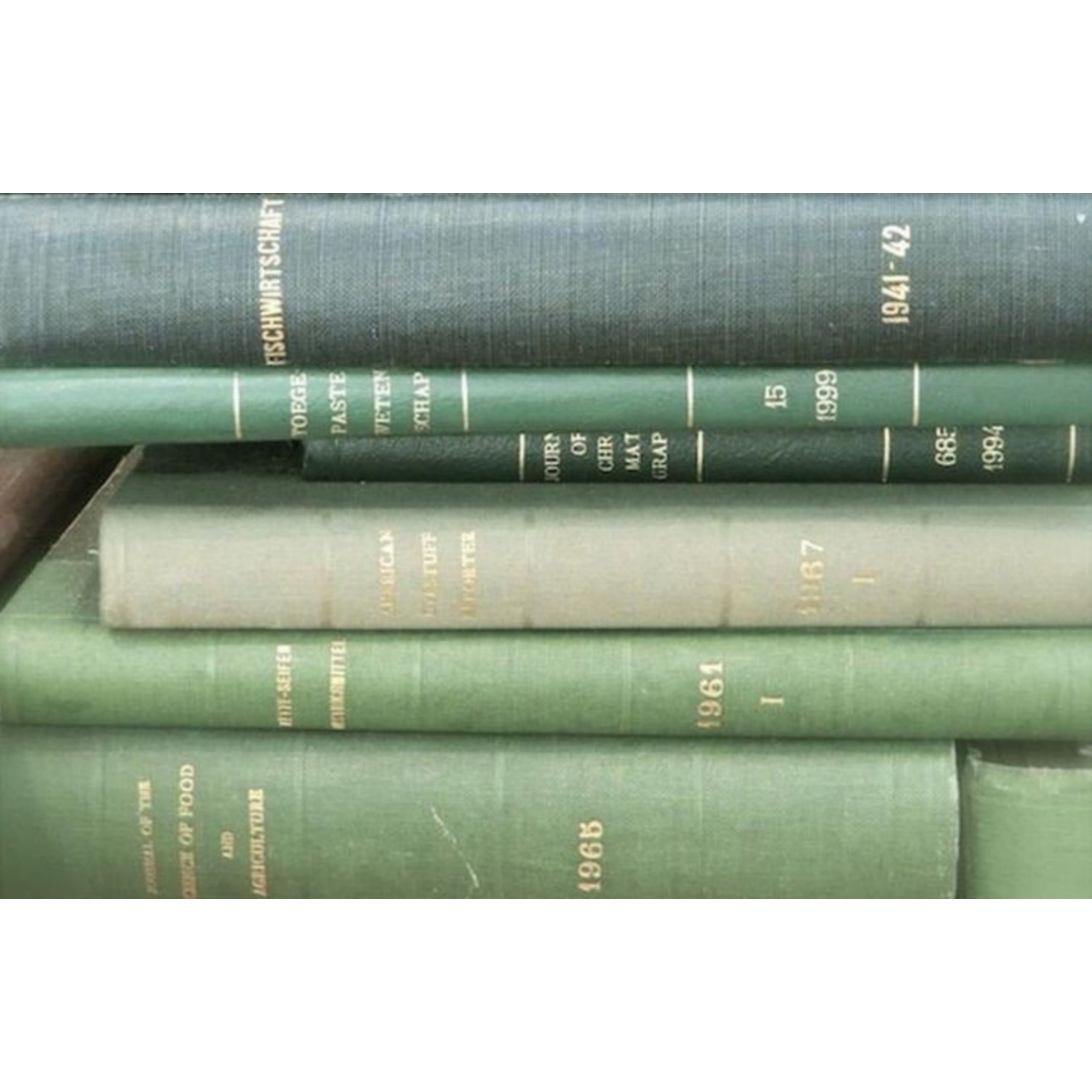 Sadsie slytherin hogwarts is here