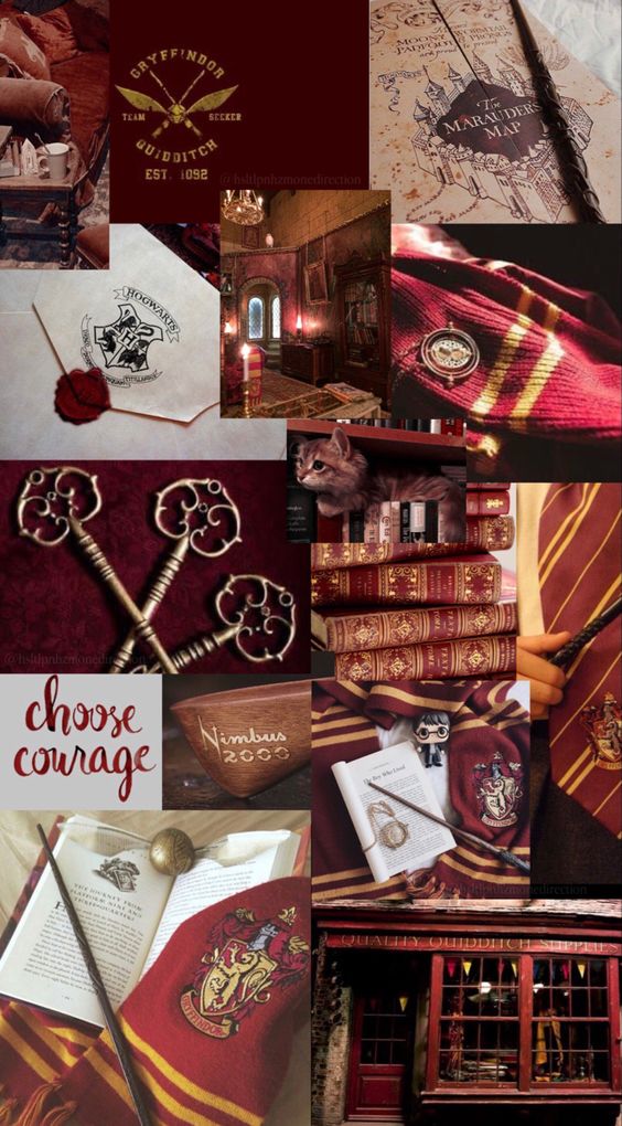 Iara Santos (Gryffindor) | Hogwarts is Here